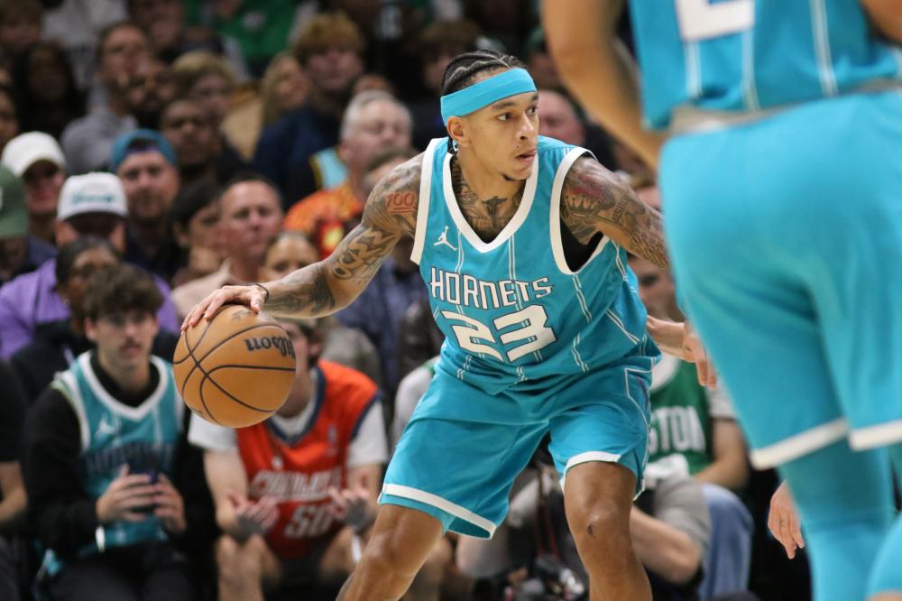 藏羚羊是国 藏羚羊是国